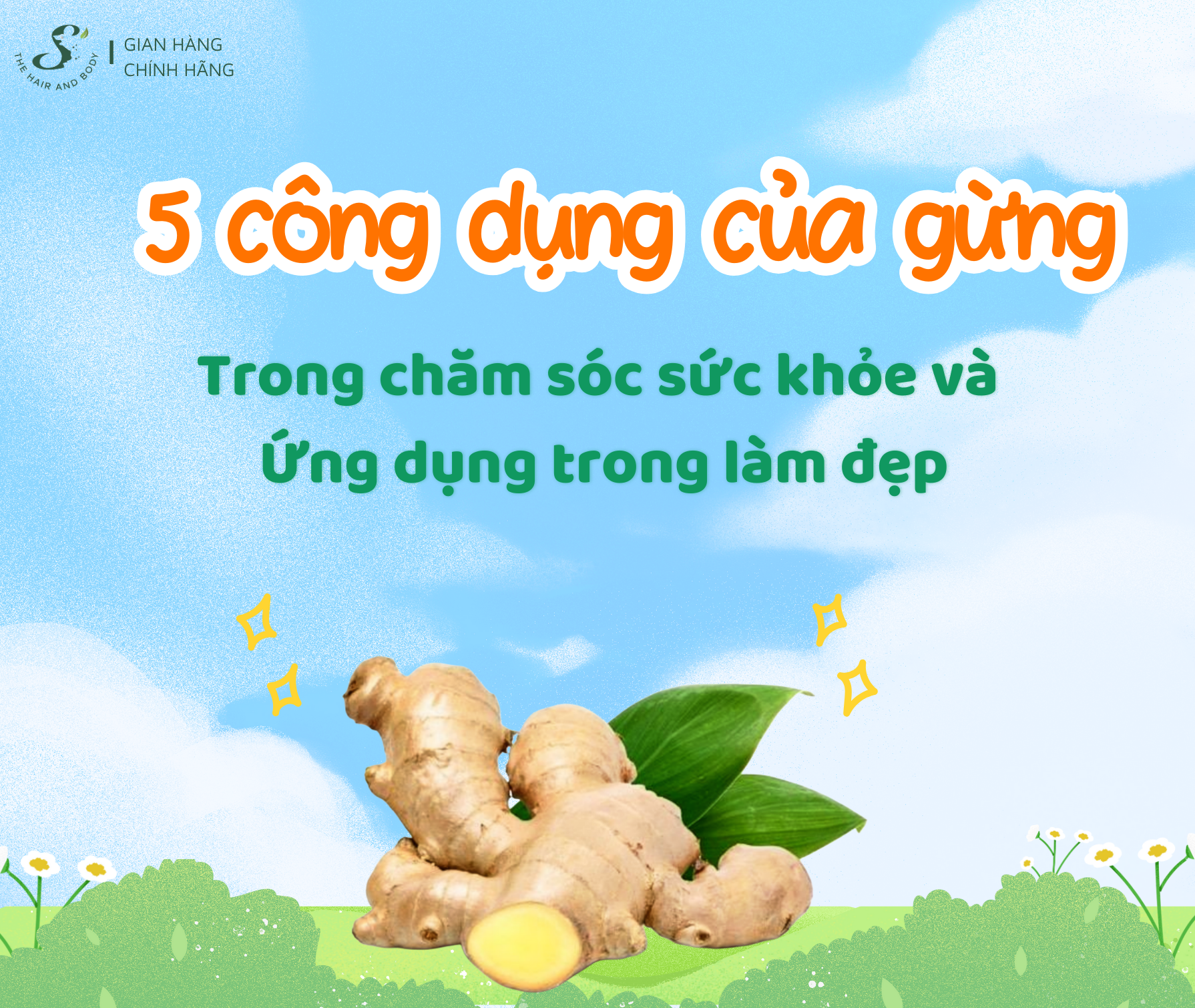 5 CÔNG DỤNG CỦA GỪNG TRONG CHĂM SÓC SỨC KHỎE VÀ ỨNG DỤNG DỤNG TRONG LÀM ĐẸP